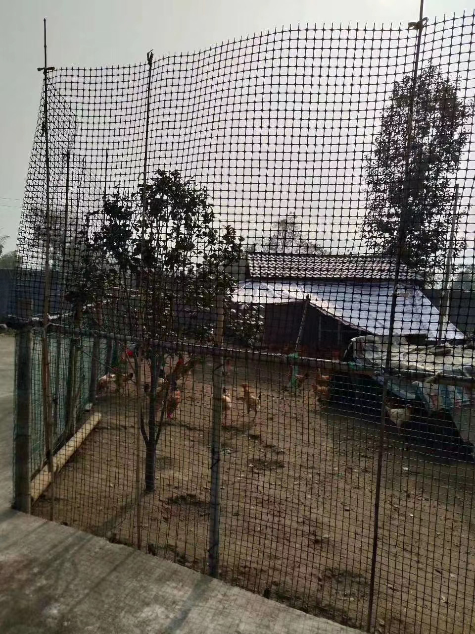养殖网养鸡网养鸭漏粪圈玉米鱼塘果园防护网大棚塑料网围栏网